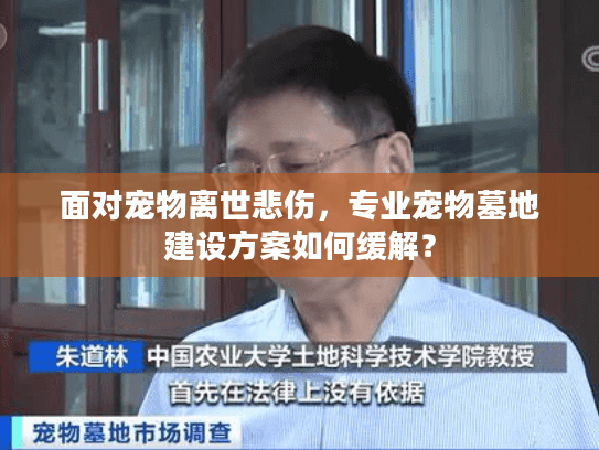 面对宠物离世悲伤，专业宠物墓地建设方案如何缓解？