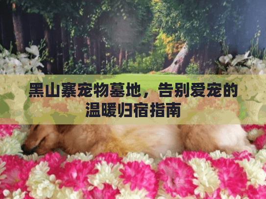 黑山寨宠物墓地,告别爱宠的温暖归宿指南 黑山寨宠物墓地,告别爱宠的温暖归宿指南