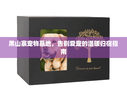 黑山寨宠物墓地,告别爱宠的温暖归宿指南 黑山寨宠物墓地,告别爱宠的温暖归宿指南