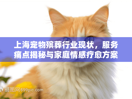 上海宠物殡葬行业现状，服务痛点揭秘与家庭情感疗愈方案