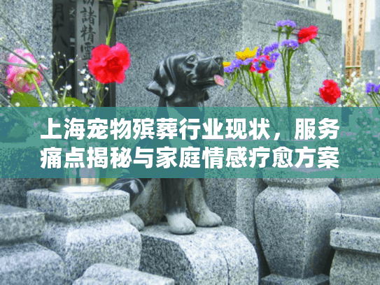 上海宠物殡葬行业现状，服务痛点揭秘与家庭情感疗愈方案
