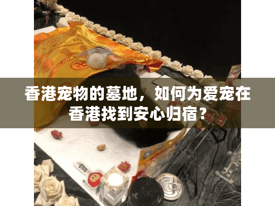 香港宠物的墓地，如何为爱宠在香港找到安心归宿？