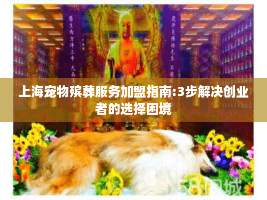 上海宠物殡葬服务加盟指南:3步解决创业者的选择困境