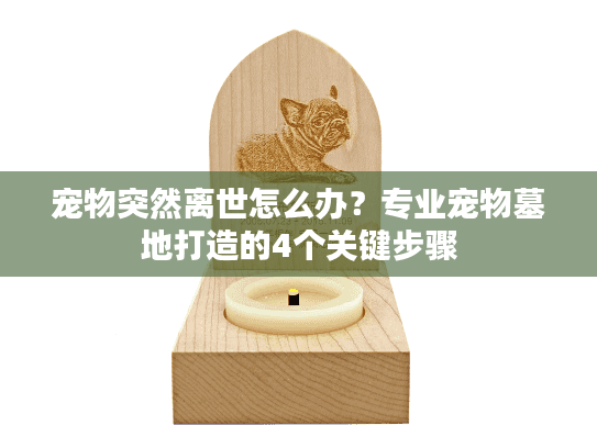 宠物突然离世怎么办？专业宠物墓地打造的4个关键步骤