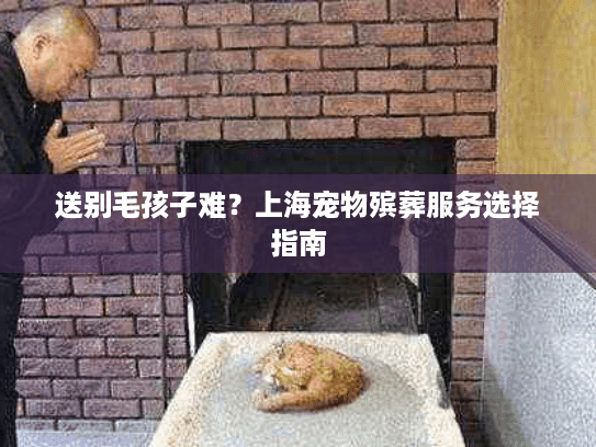 送别毛孩子难？上海宠物殡葬服务选择指南