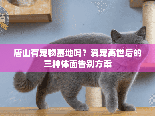 唐山有宠物墓地吗？爱宠离世后的三种体面告别方案