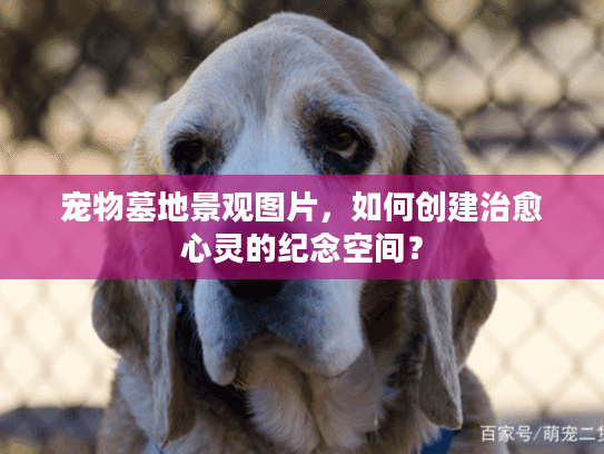 宠物墓地景观图片，如何创建治愈心灵的纪念空间？
