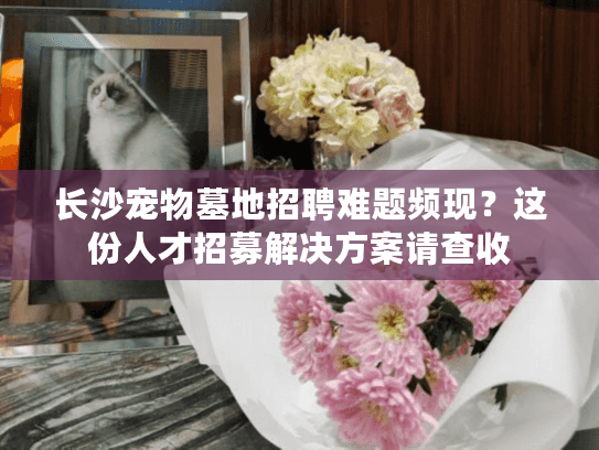 长沙宠物墓地招聘难题频现？这份人才招募解决方案请查收