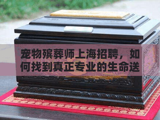 宠物殡葬师上海招聘，如何找到真正专业的生命送别者？