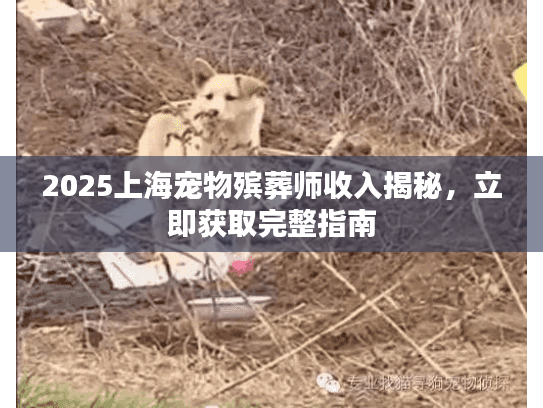2025上海宠物殡葬师收入揭秘，立即获取完整指南