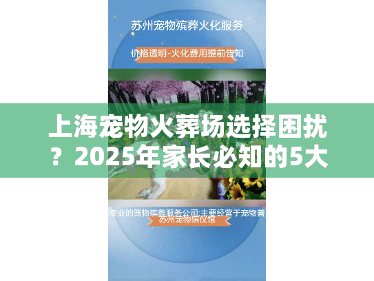 上海宠物火葬场选择困扰？2025年家长必知的5大避坑指南