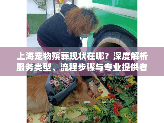 上海宠物殡葬现状在哪？深度解析服务类型、流程步骤与专业提供者