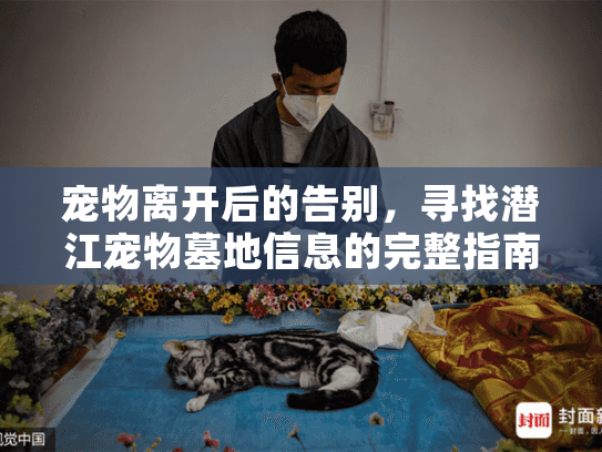 宠物离开后的告别，寻找潜江宠物墓地信息的完整指南