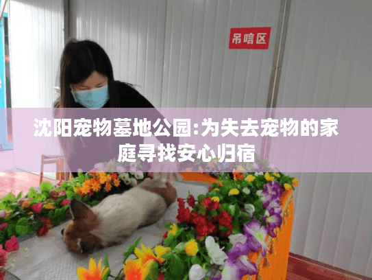 沈阳宠物墓地公园:为失去宠物的家庭寻找安心归宿