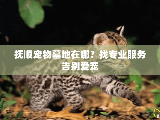 抚顺宠物墓地在哪？找专业服务告别爱宠