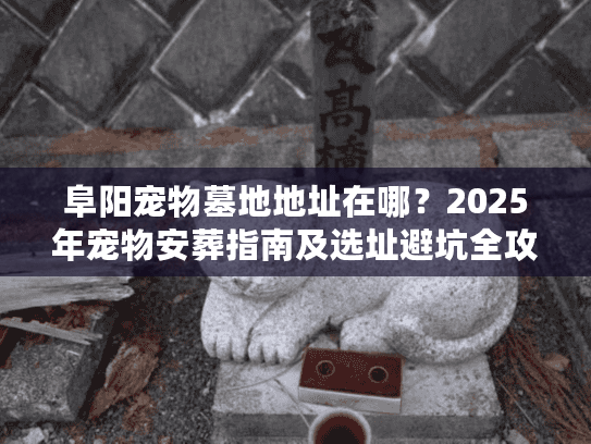 阜阳宠物墓地地址在哪？2025年宠物安葬指南及选址避坑全攻略