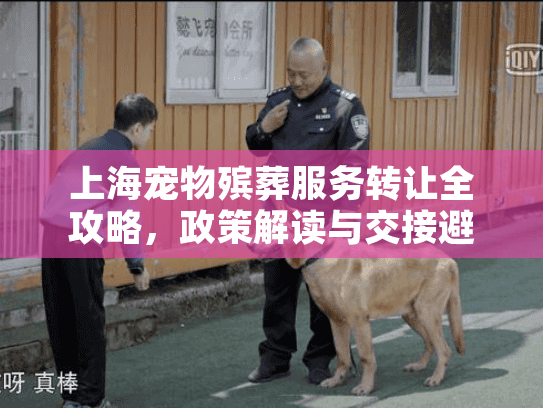 上海宠物殡葬服务转让全攻略，政策解读与交接避坑指南