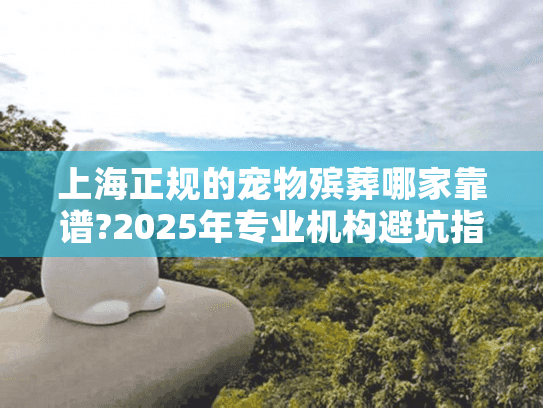 上海正规的宠物殡葬哪家靠谱?2025年专业机构避坑指南