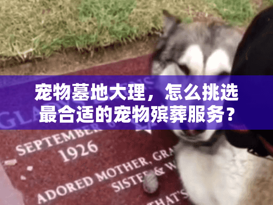 宠物墓地大理，怎么挑选最合适的宠物殡葬服务？