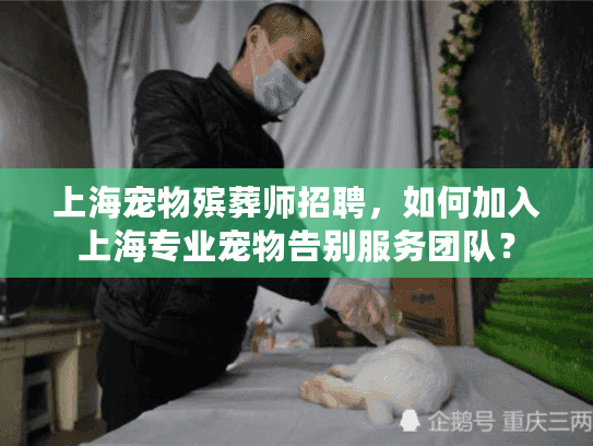 上海宠物殡葬师招聘，如何加入上海专业宠物告别服务团队？
