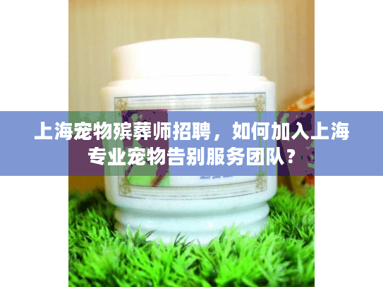 上海宠物殡葬师招聘，如何加入上海专业宠物告别服务团队？