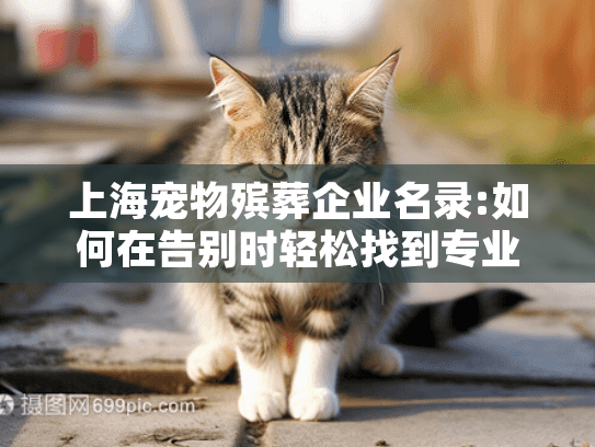 上海宠物殡葬企业名录:如何在告别时轻松找到专业可靠的服务