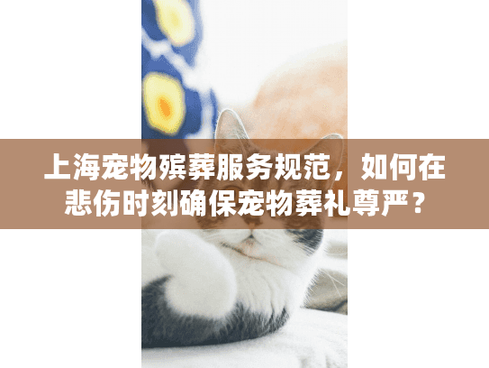 上海宠物殡葬服务规范，如何在悲伤时刻确保宠物葬礼尊严？