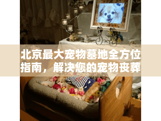 北京最大宠物墓地全方位指南，解决您的宠物丧葬后顾之忧