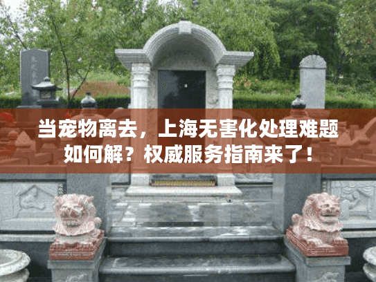 当宠物离去，上海无害化处理难题如何解？权威服务指南来了！