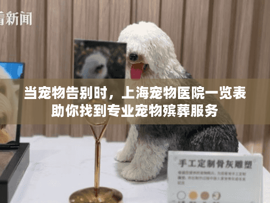 当宠物告别时，上海宠物医院一览表助你找到专业宠物殡葬服务