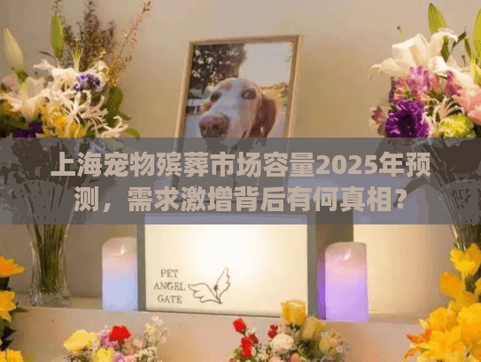 上海宠物殡葬市场容量2025年预测，需求激增背后有何真相？