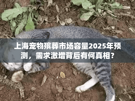 上海宠物殡葬市场容量2025年预测，需求激增背后有何真相？