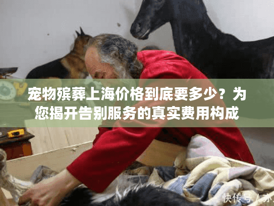 宠物殡葬上海价格到底要多少？为您揭开告别服务的真实费用构成