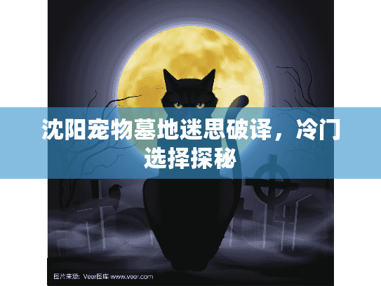 沈阳宠物墓地迷思破译，冷门选择探秘
