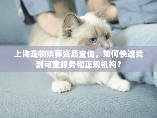 上海宠物殡葬资质查询，如何快速找到可靠服务和正规机构？