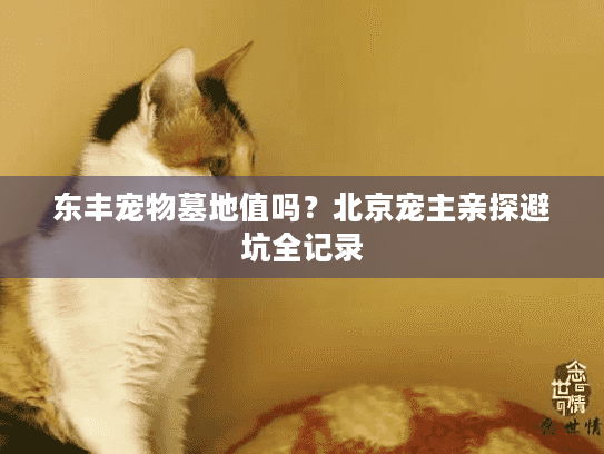 东丰宠物墓地值吗？北京宠主亲探避坑全记录
