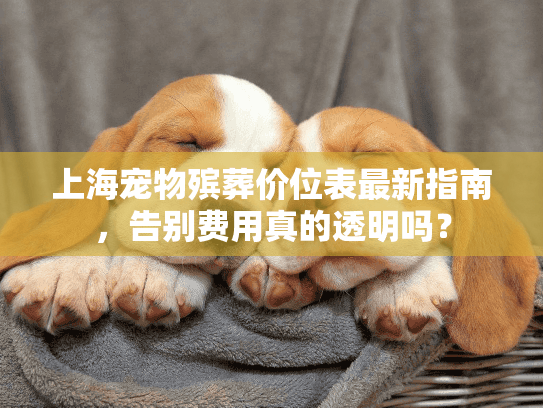 上海宠物殡葬价位表最新指南，告别费用真的透明吗？