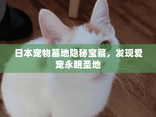 日本宠物墓地隐秘宝藏，发现爱宠永眠圣地