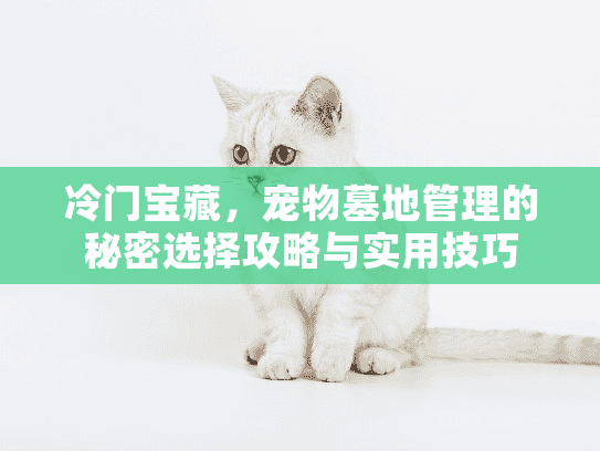 冷门宝藏，宠物墓地管理的秘密选择攻略与实用技巧