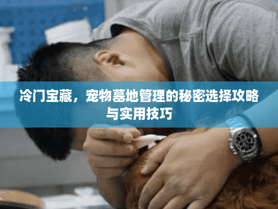 冷门宝藏，宠物墓地管理的秘密选择攻略与实用技巧