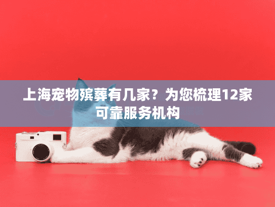 上海宠物殡葬有几家？为您梳理12家可靠服务机构