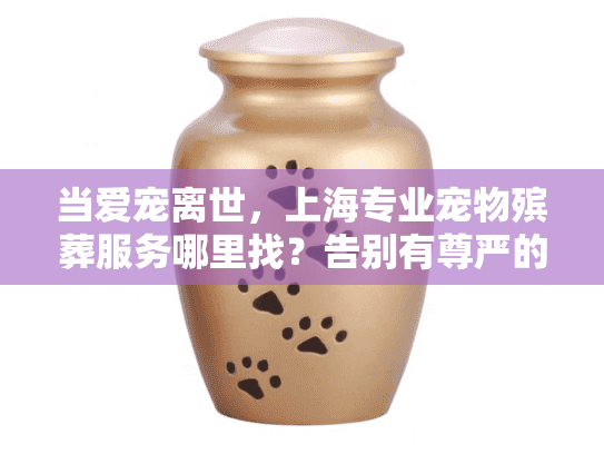 当爱宠离世，上海专业宠物殡葬服务哪里找？告别有尊严的最后一程