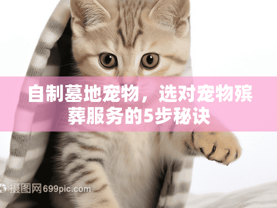 自制墓地宠物，选对宠物殡葬服务的5步秘诀