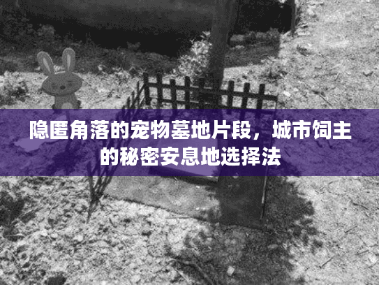 隐匿角落的宠物墓地片段，城市饲主的秘密安息地选择法