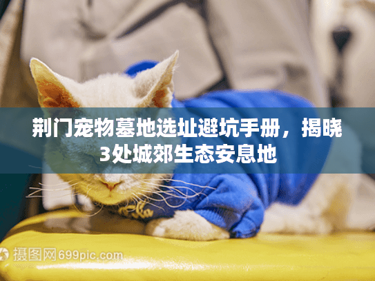 荆门宠物墓地选址避坑手册，揭晓3处城郊生态安息地