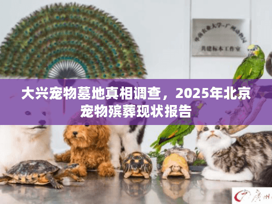 大兴宠物墓地真相调查，2025年北京宠物殡葬现状报告