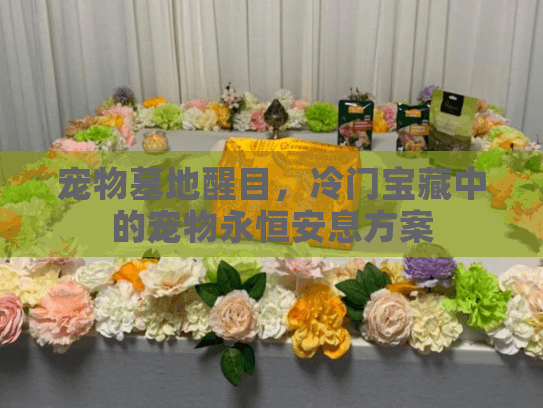 宠物墓地醒目，冷门宝藏中的宠物永恒安息方案