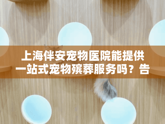上海伴安宠物医院能提供一站式宠物殡葬服务吗？告别爱宠不再手忙脚乱