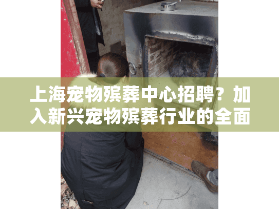 上海宠物殡葬中心招聘？加入新兴宠物殡葬行业的全面指南