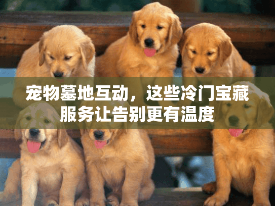 宠物墓地互动，这些冷门宝藏服务让告别更有温度
